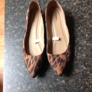 Pointed toe/tiny heeled flats
